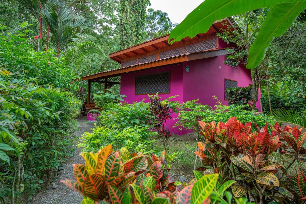 Villa Pina Dorada Dependencia Del Hotel Casa Merlin Puerto Viejo de Talamanca Exterior photo